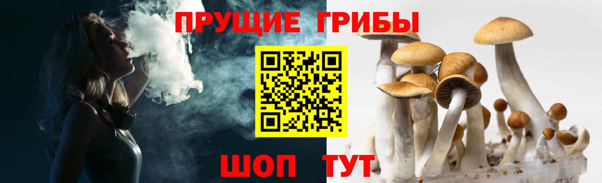 Балахна  Псилоцибиновые грибы мухоморы  Галлюциногенные грибы прущие грибы  Вход с VPN 